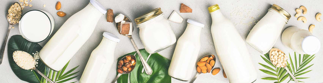 Plant-Based Sources of Calcium