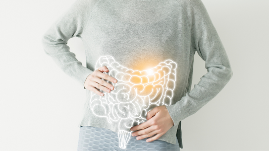 Woman with an illustration of the gastrointestinal system over her stomach. 
