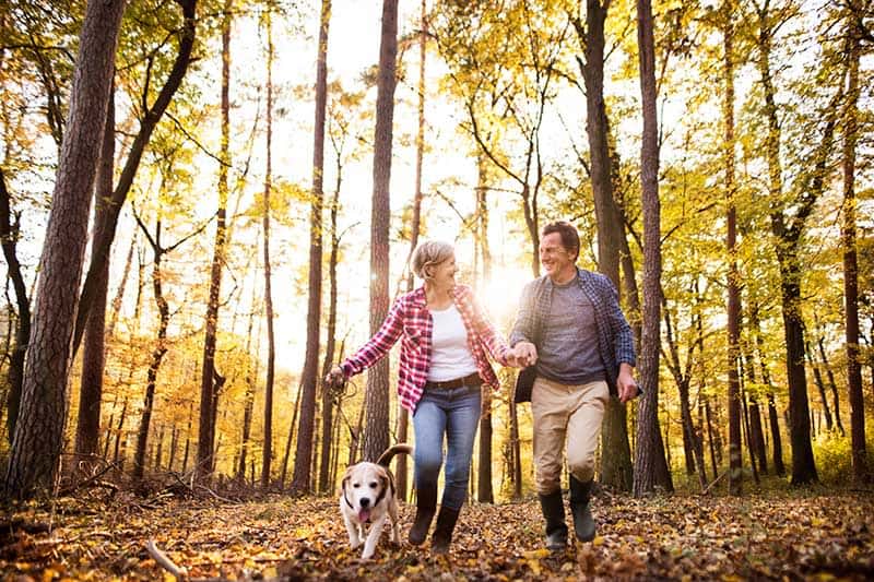 6 Natural Supplements for Joint Pain and Stiffness
