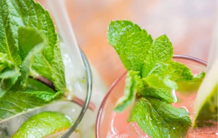5 Healthy Mocktail Recipes