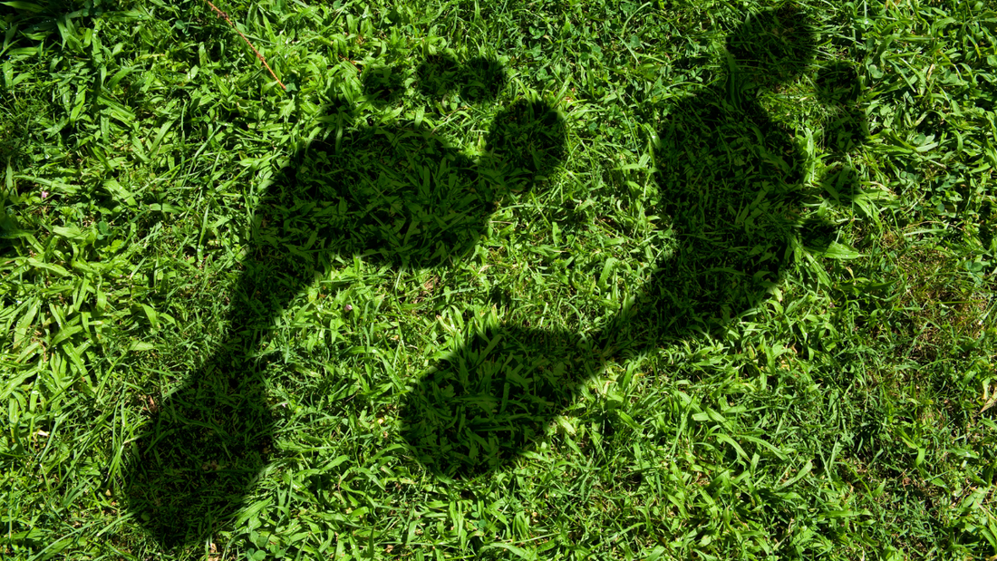 Footprints in grass, representing carbon footprint.