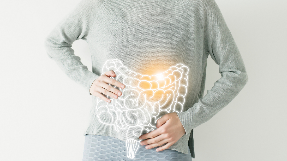 Woman with an illustration of the gastrointestinal system over her stomach. 