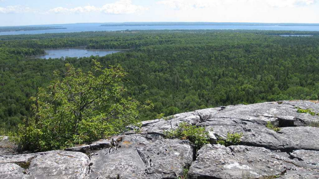 View of the Niagara Escarpment