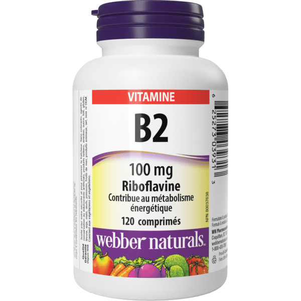 B2 100 mg for Webber Naturals|v|hi-res|WN3931