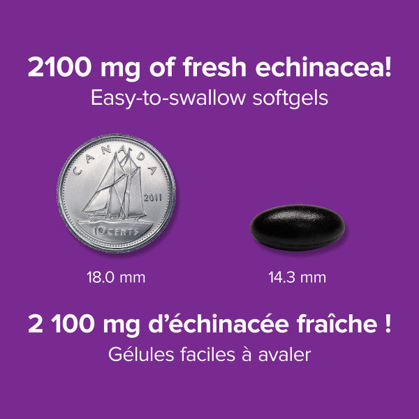 Echinacea 2100 mg, image-enhanced-pill