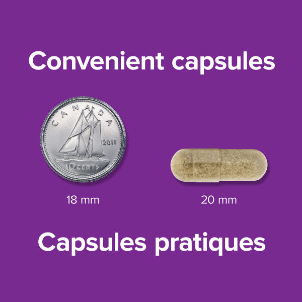 Gentle Iron with Vitamin C, B12, and Folic Acid 28 mg, image-enhanced-pill