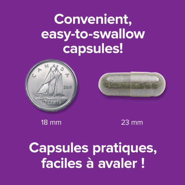 St. John’s Wort 300 mg, image-enhanced-pill