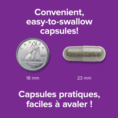 St. John’s Wort 300 mg, image-enhanced-pill