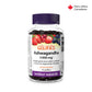 Ashwagandha Gummies Berry for Webber Naturals|v|hi-res|WN3942