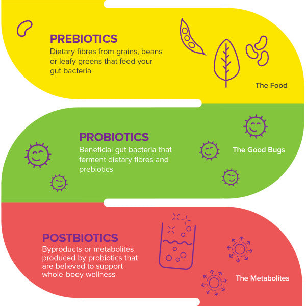 Probiotic 10 Billion + Prebiotic for Webber Naturals|v|hi-res|WN3941