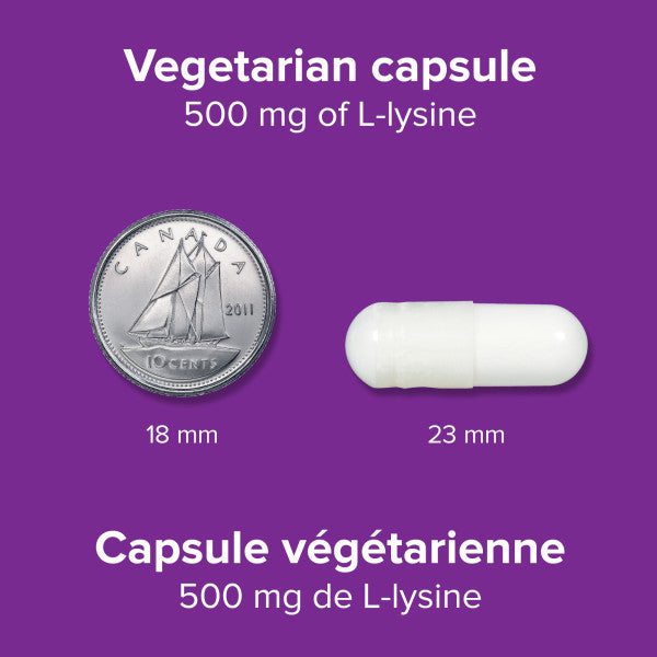 specifications-L-Lysine 500 mg for Webber Naturals