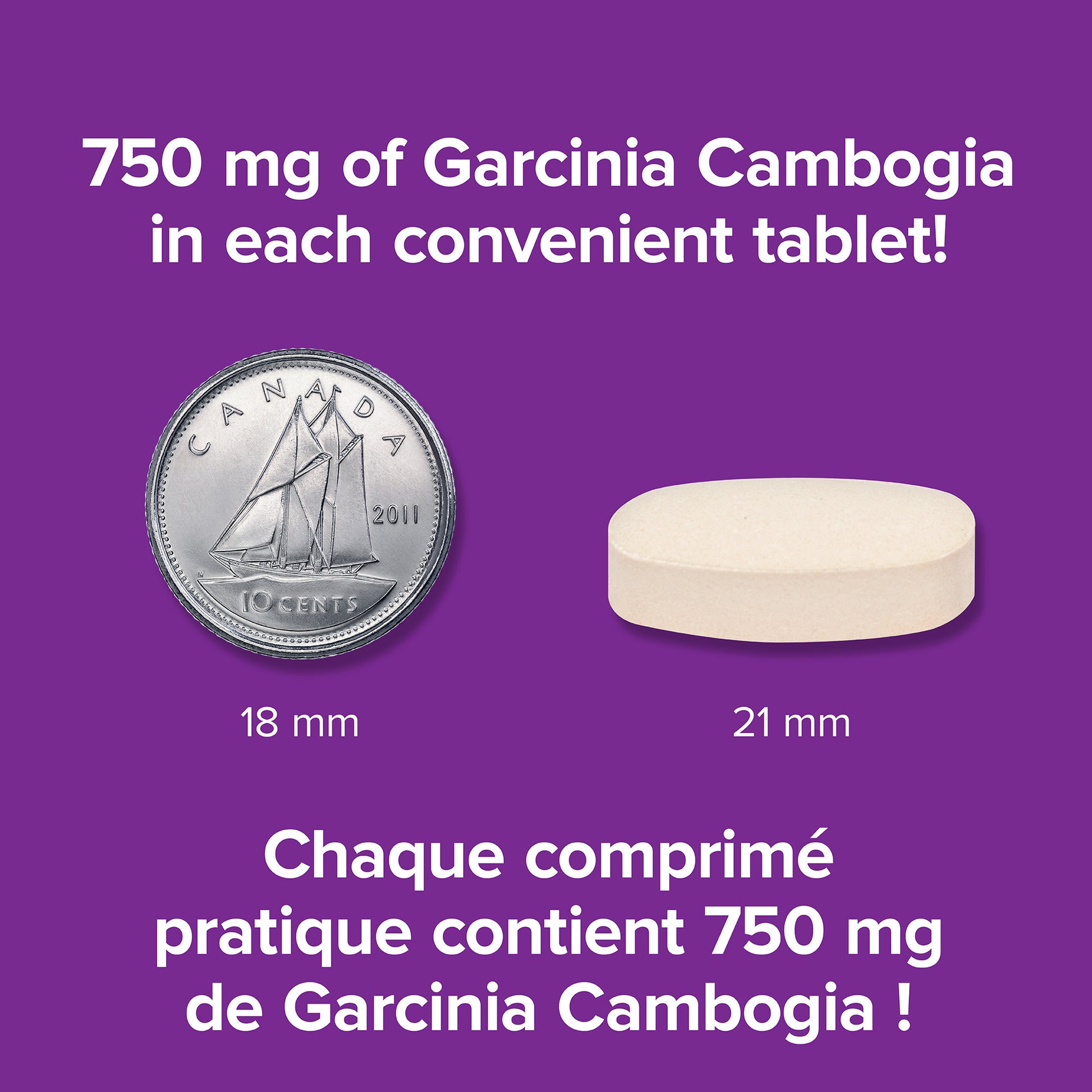 specifications-Garcinia Cambogia 60% HCA 750 mg for MetaSlim®WN3631