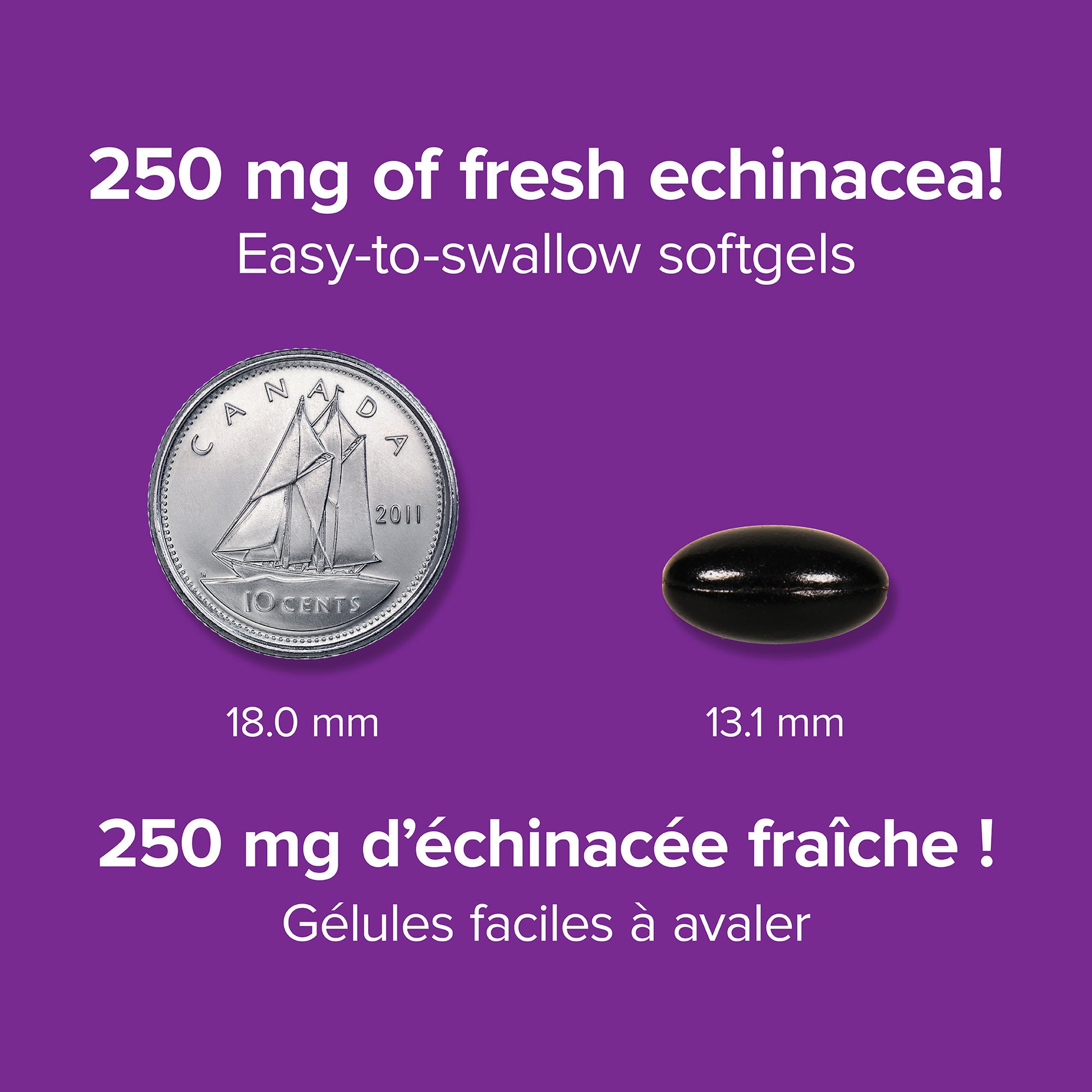 specifications-Cold-A-Tak Échinacée Sous emballage-coque 250 mg for Webber Naturals