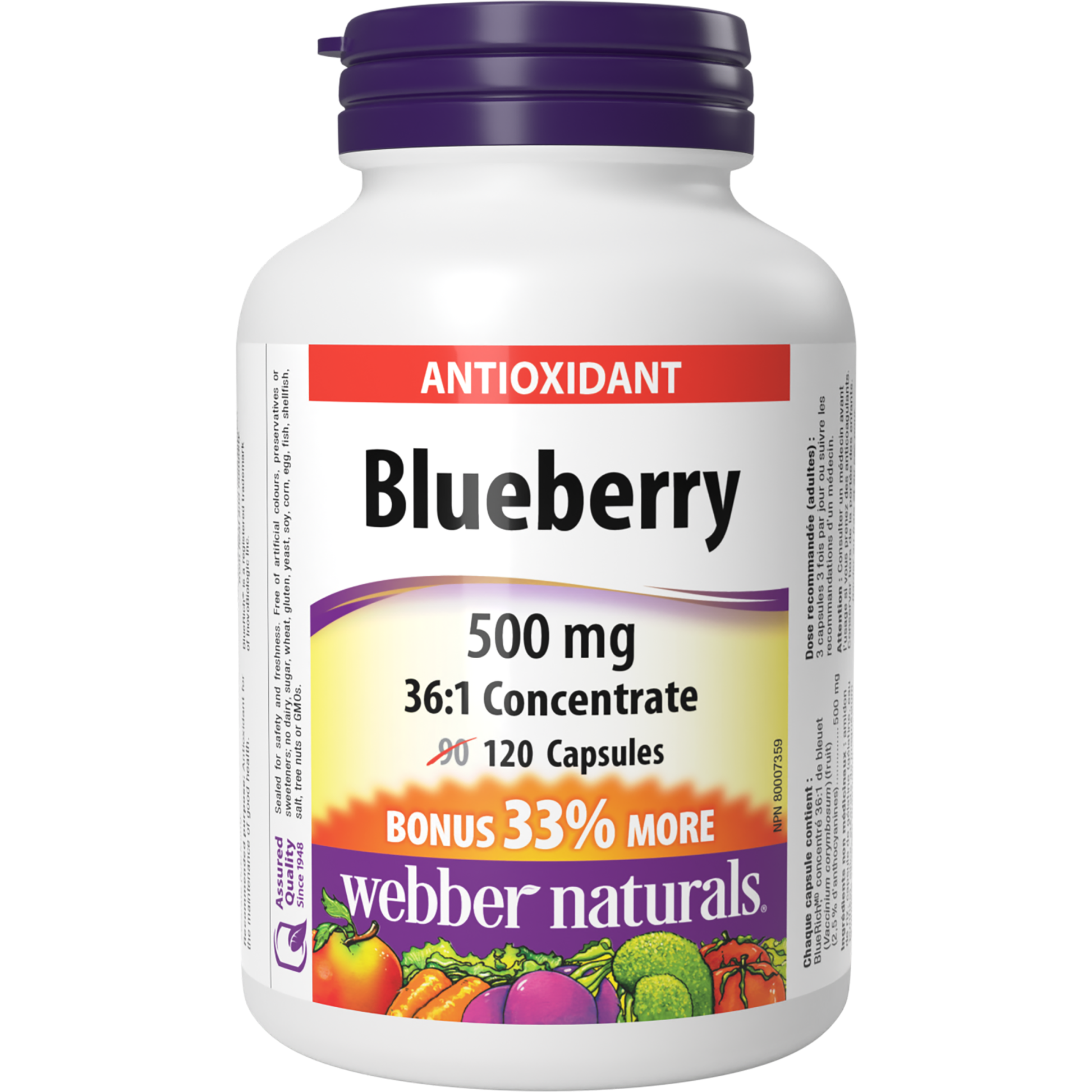 Blueberry 36:1 Concentrate 500 mg for Webber Naturals|v|hi-res|WN3820