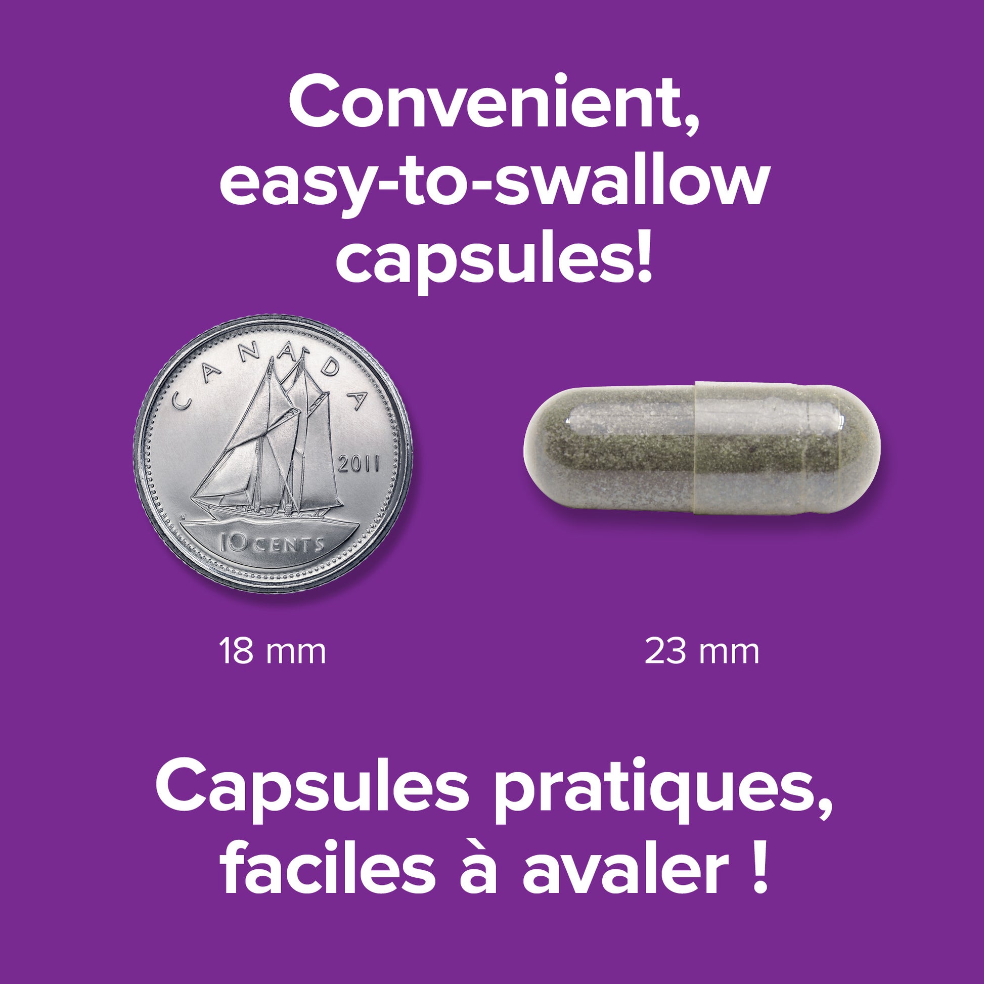 specifications-Millepertuis 300 mg for Webber Naturals