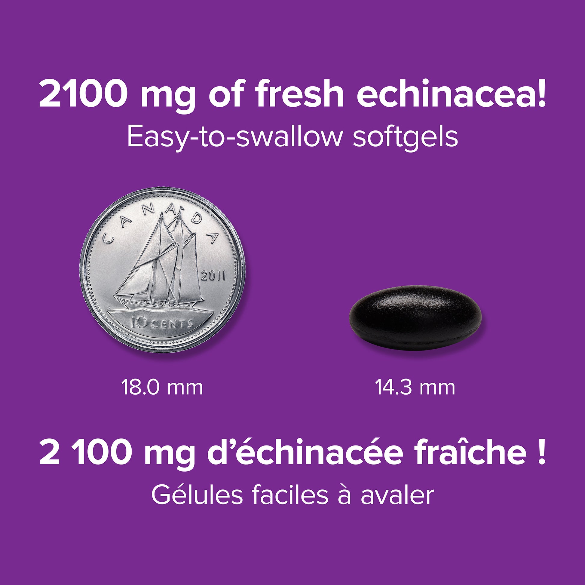 specifications-Échinacée Normalisation triple 2 100 mg for Webber Naturals
