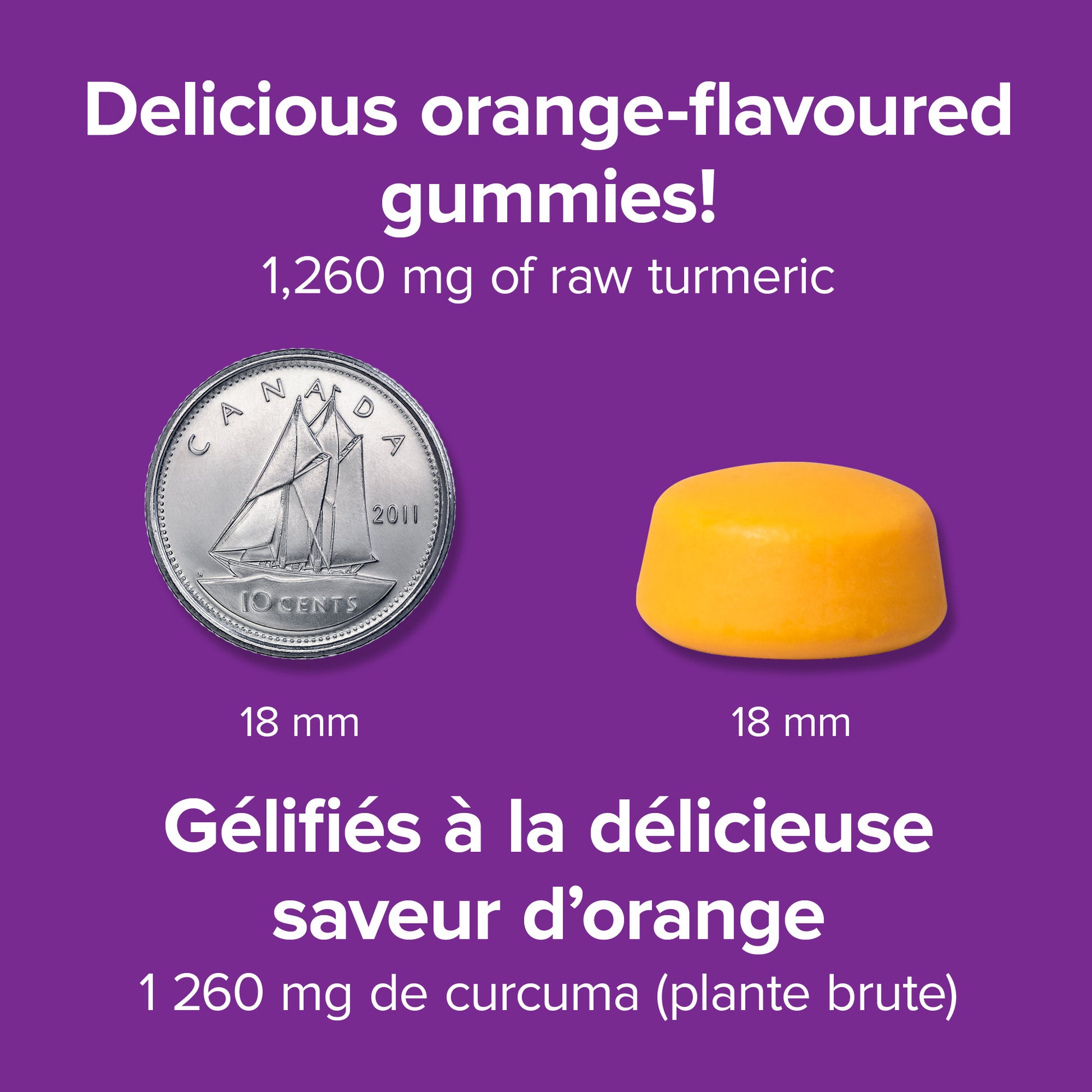 specifications-Curcumine de Curcuma 1 260 mg orange for Webber Naturals