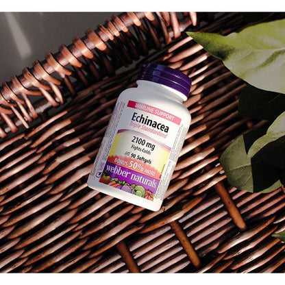 Echinacea Triple Standardized 2100 mg for Webber Naturals|v|hi-res|WN5088