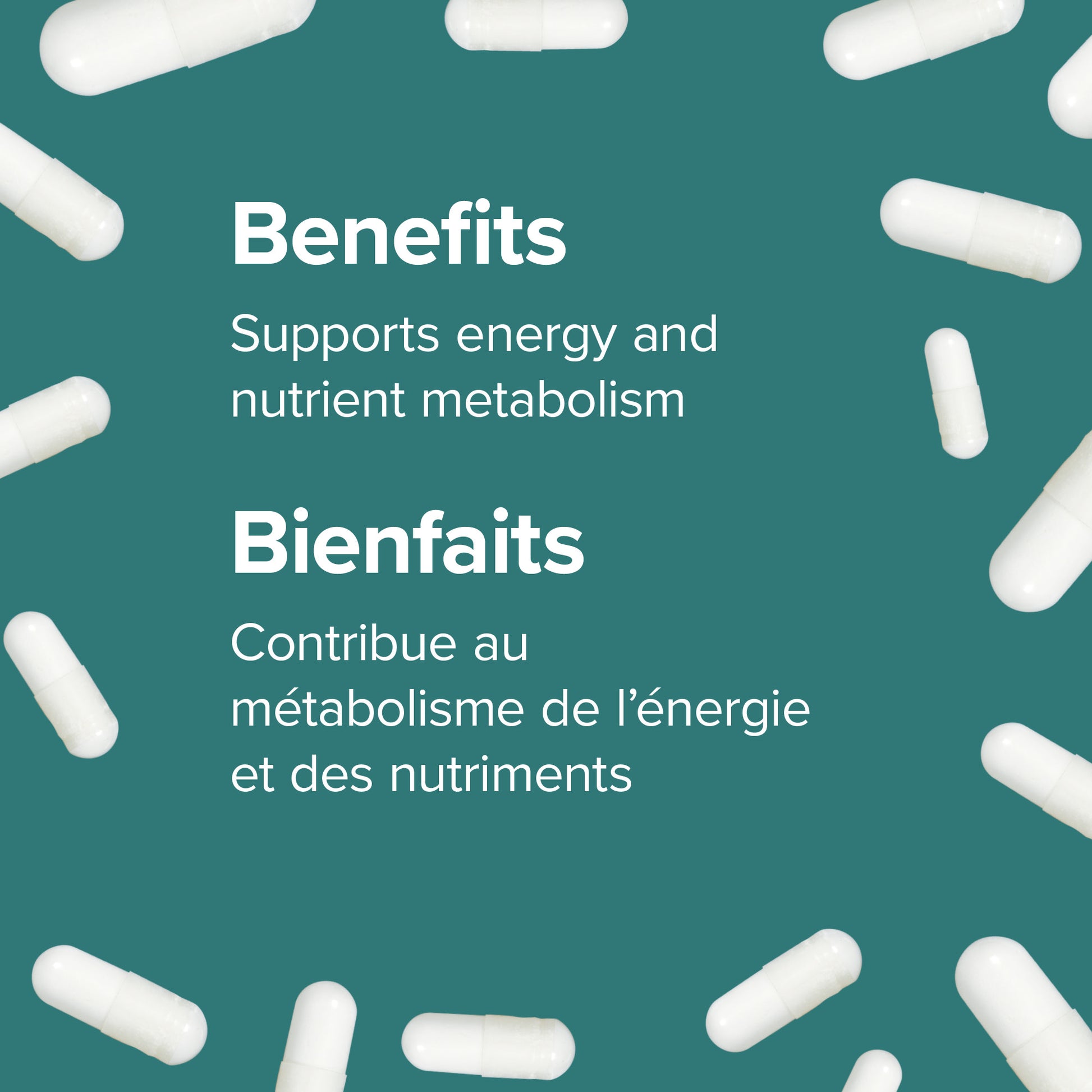 specifications-Sans rougeurs Niacine 500 mg for Webber Naturals