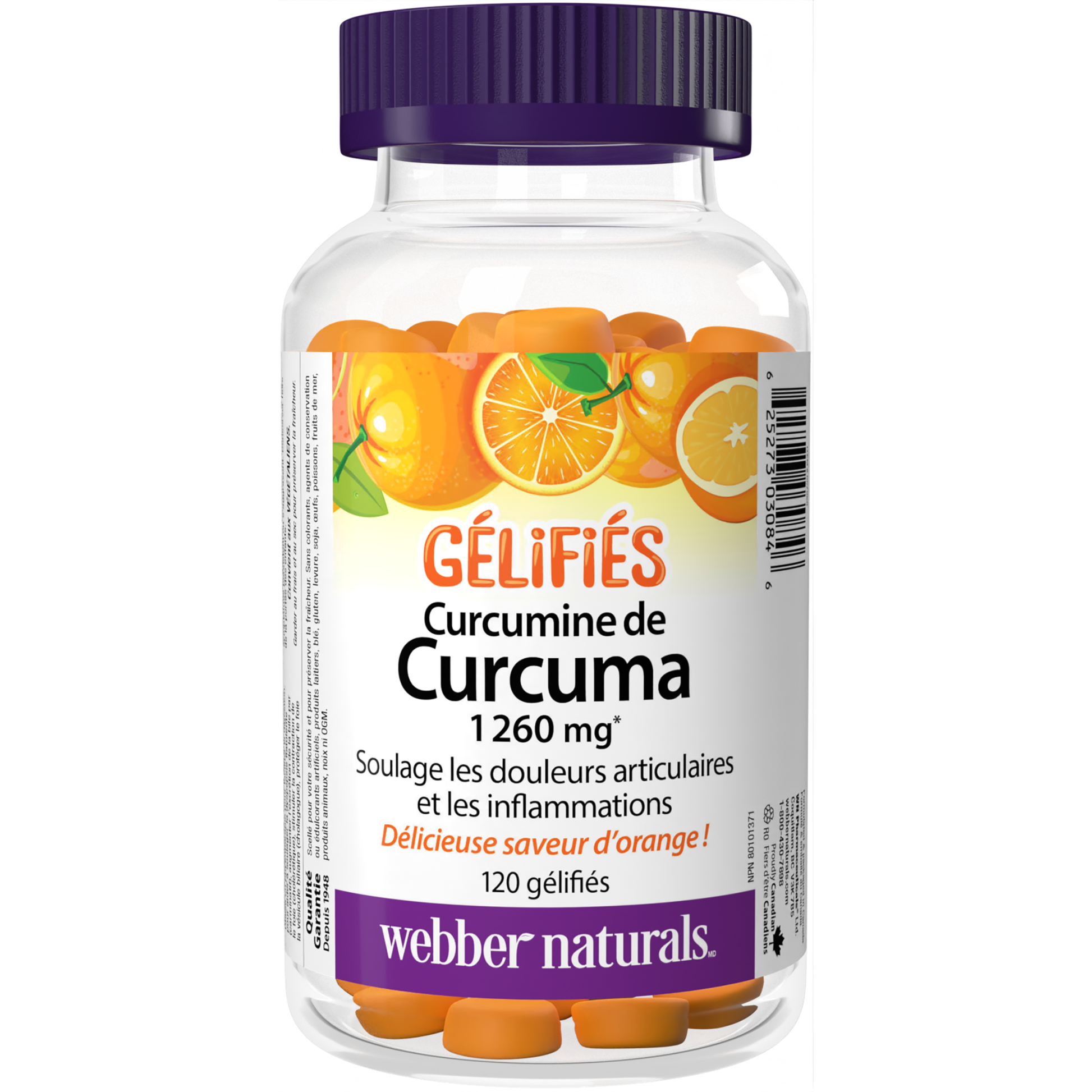Curcumine de Curcuma 1 260 mg orange for Webber Naturals|v|hi-res|WN3084