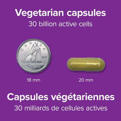 specifications-Probiotic Max IBS Support 30 Billion for Webber NaturalsWN3916